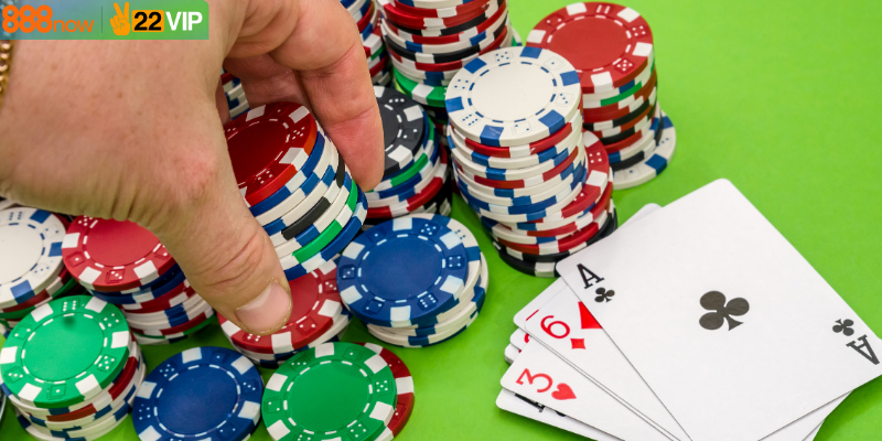 Catte 6 cây là gì? Tìm hiểu khái niệm