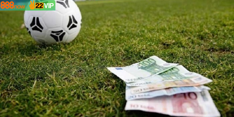 Cược nhanh với nhiều cược đa dạng